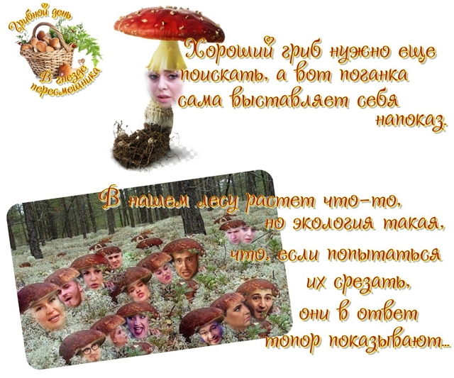 ������� ���-2 (29.06.2019)