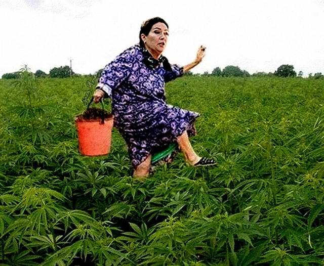 ������� ���-2 (1.07.2019)