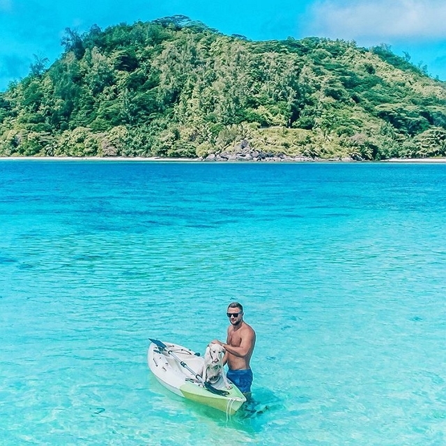 ������ ��������: �������� ������ ����������