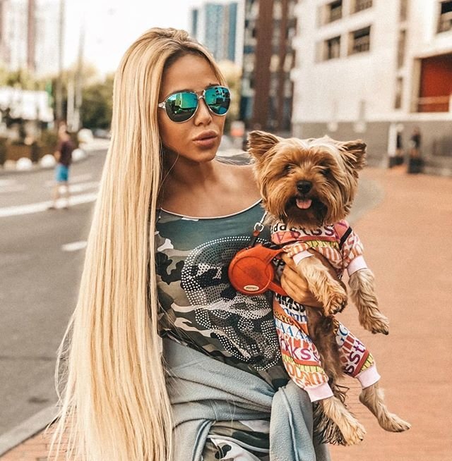 ����� �����: �������� ����������