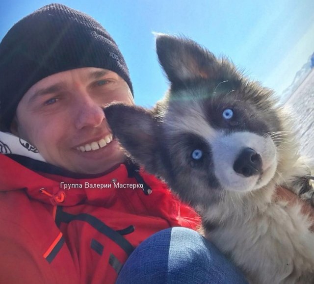 ����� �������� ������� ���������