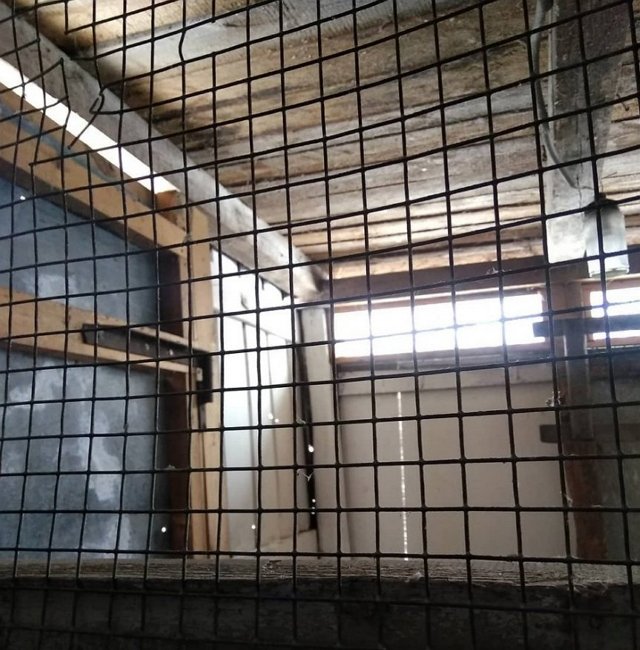 Май Абрикосов: На Дом-2 требуются парни до 48 лет Май Абрикосов: На Дом-2 требуются парни до 48 лет