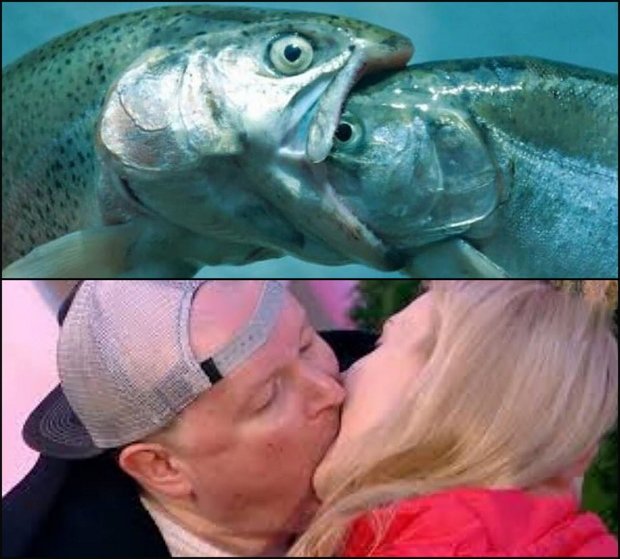 ������� ���-2 (7.05.2020)