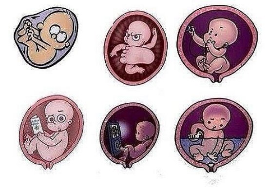 Александра Черно: В декрет я пока не рвусь Александра Черно: В декрет я пока не рвусь