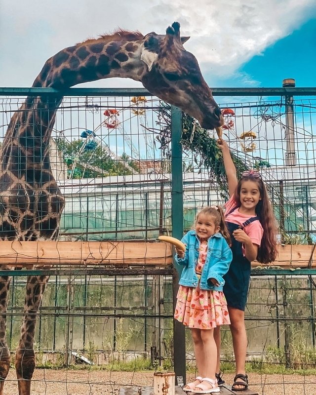 ���� ����� ���������� ����-2 (24.06.2020)