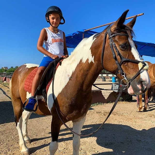 ���� ����� ���������� ����-2 (24.06.2020)