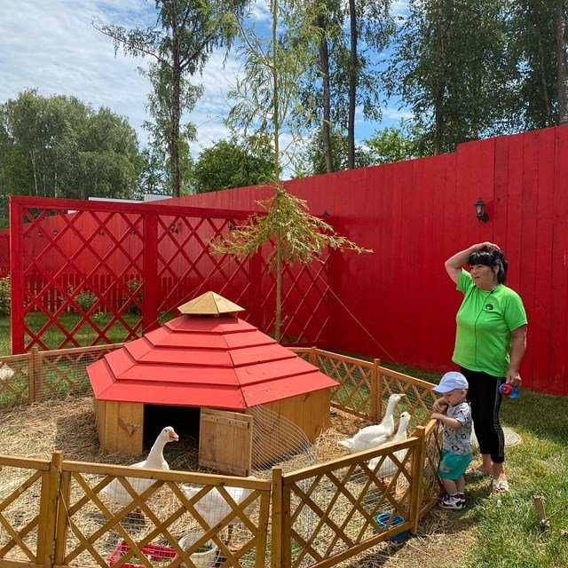 ���� ����� ���������� ����-2 (7.07.2020)