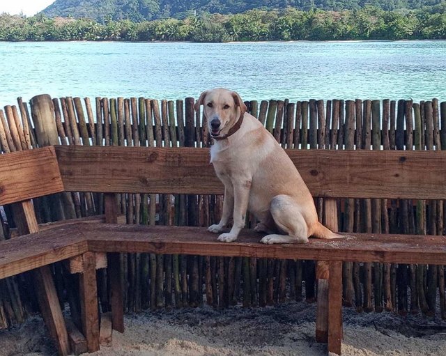 ���� � ������ �� ���������� (13.08.2020)