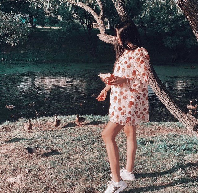 ���� � ������ �� ���������� (20.08.2020)