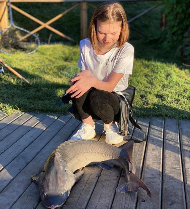 ���� ����� ���������� ����-2 (20.08.2020)