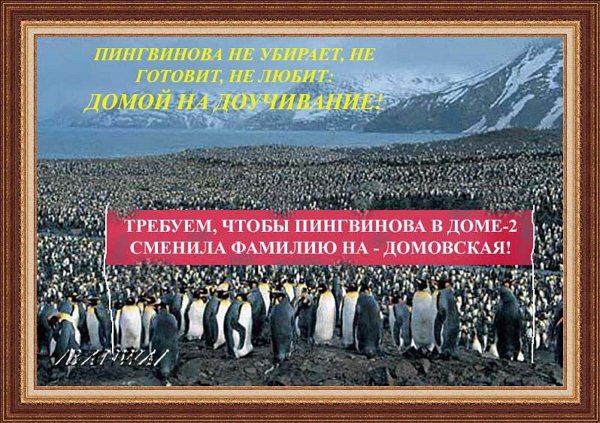 Приколы Дом-2 (21.08.2020) Приколы Дом-2 (21.08.2020)