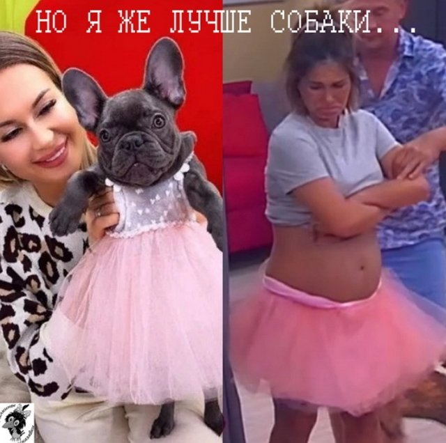 ������� ���-2 (26.08.2020)