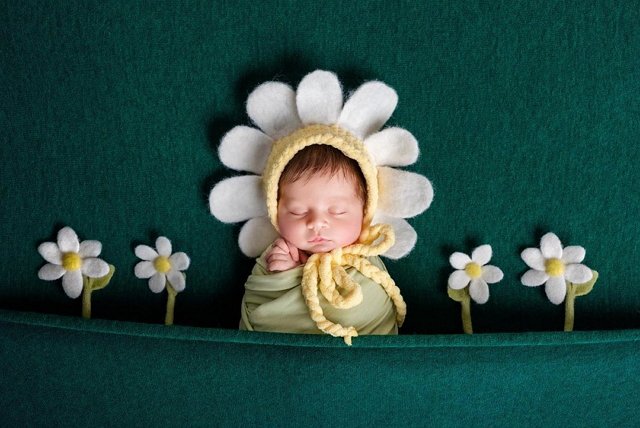 ����� ���������: ��� ��������� ��������