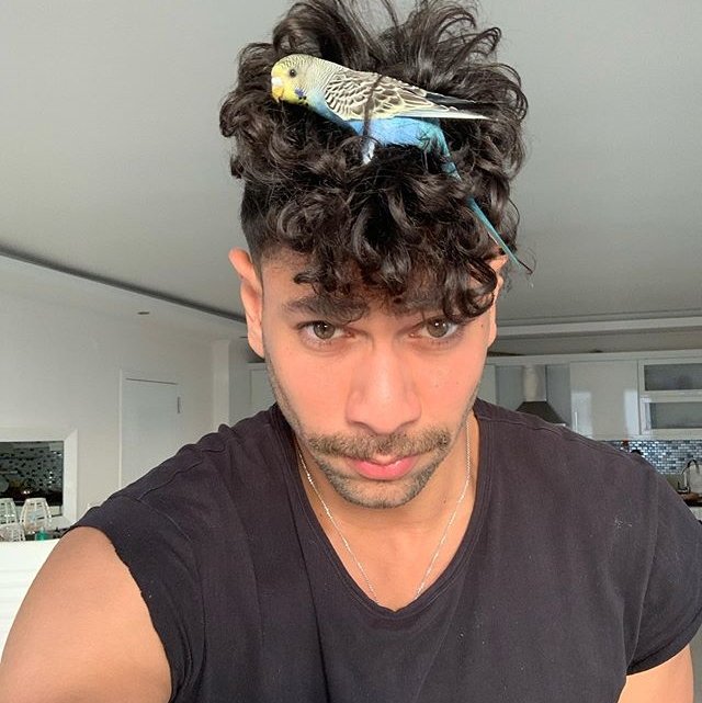 ����� �������� ������� �����