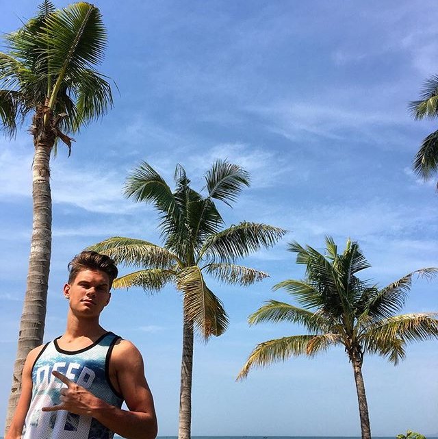 ����� �������� ������ ����������