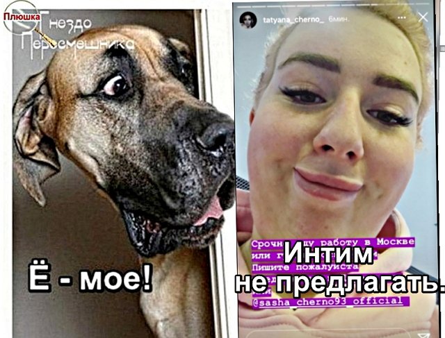 Приколы Дом-2 (12.10.2020) Приколы Дом-2 (12.10.2020)