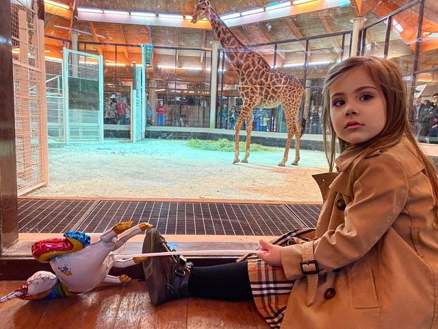 ���� ����� ���������� ����-2 (13.10.2020)