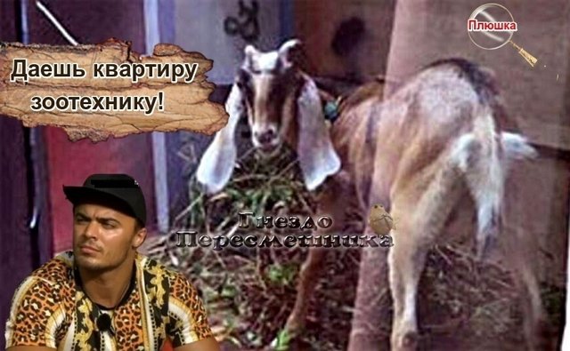 ������� ���-2 (5.11.2020)