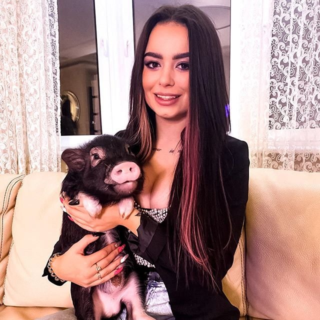 ����� ��������� �������� ������