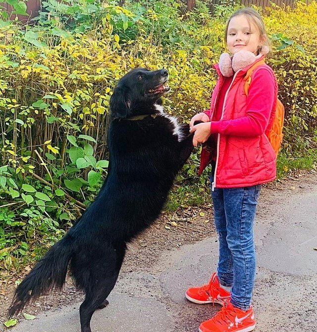 ���� ����� ���������� ����-2 (10.11.2020)