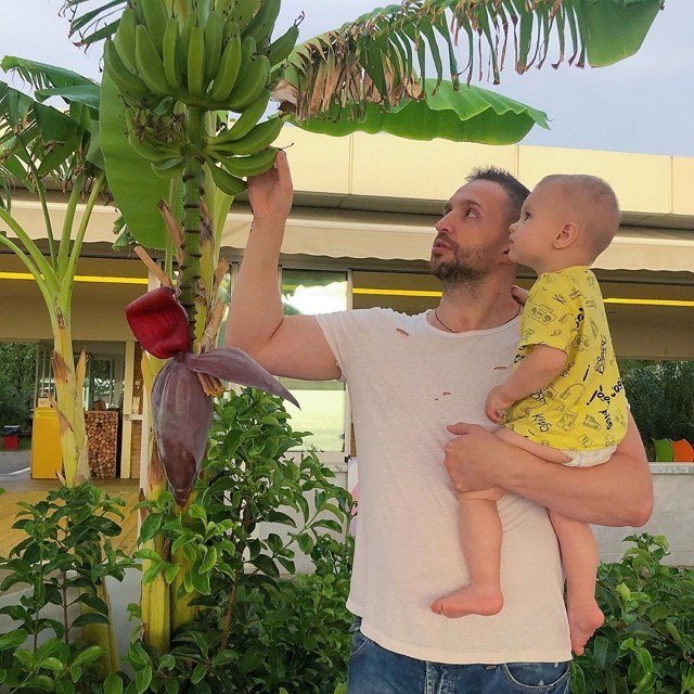 ���� ����� ���������� ����-2 (12.11.2020)