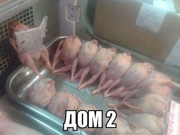 Приколы Дом-2 (13.12.2020) Приколы Дом-2 (13.12.2020)