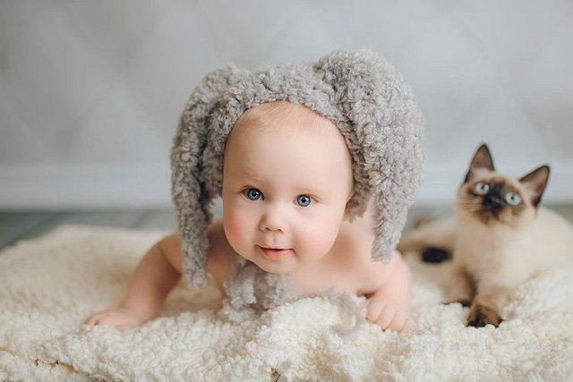 ���� ����� ���������� ����-2 (1.02.2021)