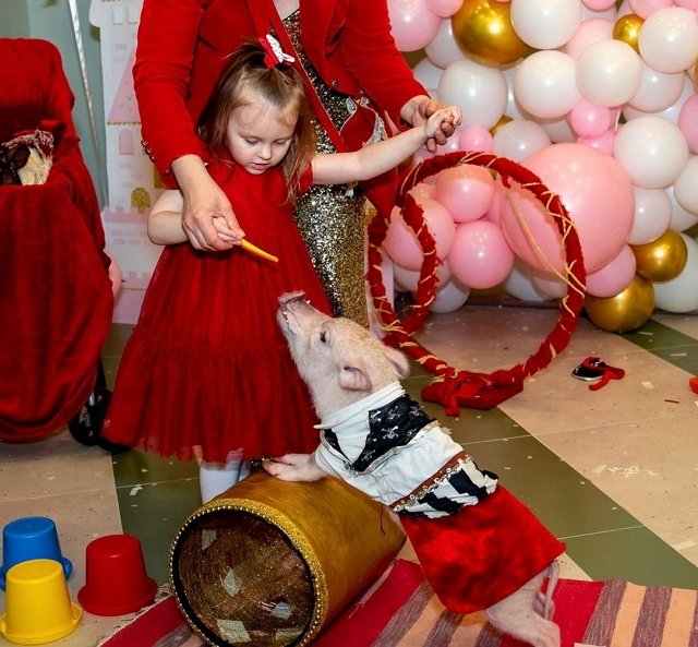 ��������� ������: � ���� ��������, ��� ��������!