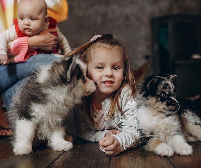 ��������� ������: � ���� ��������� ������, � ��� �������