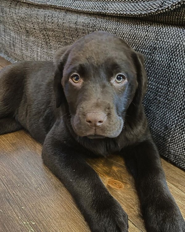 ��������� ��������: � ����� ����� � ������ ���!