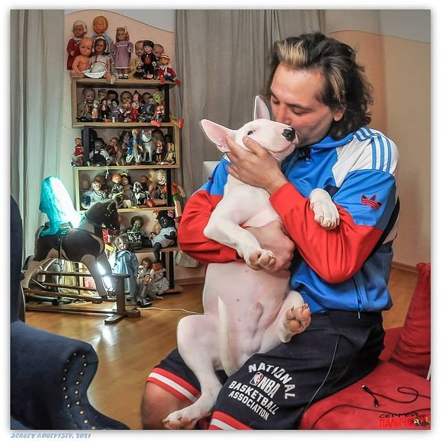 ���� �� ���������� (12.02.2021)