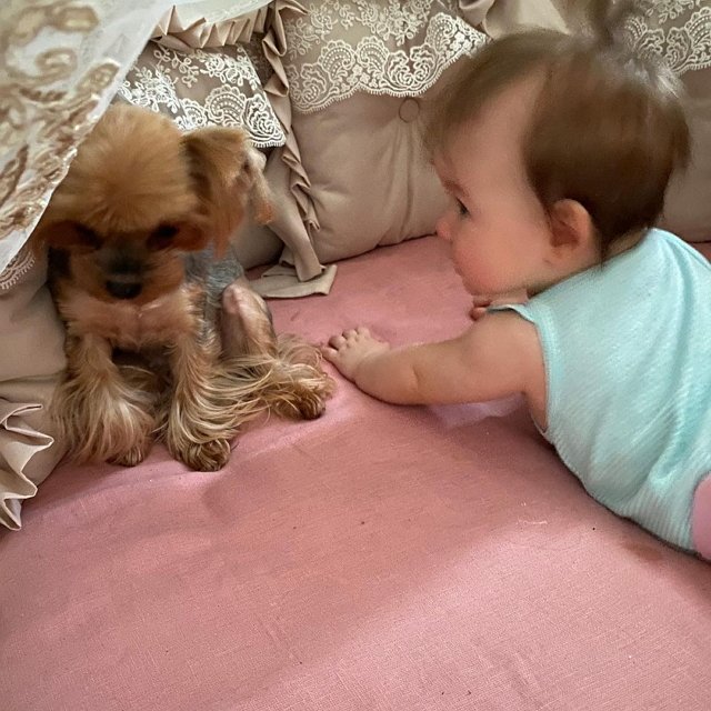 �������� �����: ���������� ������� ���, ���� ��� ���� ���������!