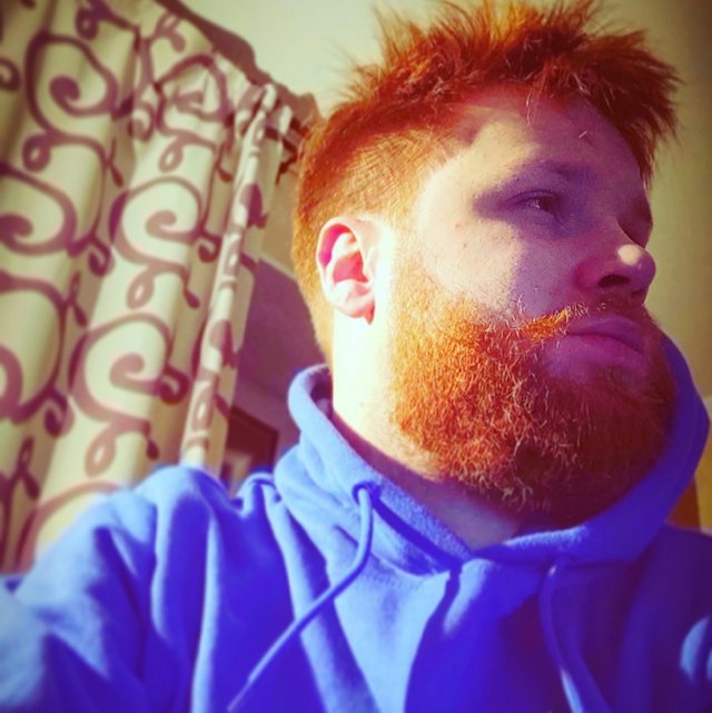 ����� ����� ���: �������� ���������