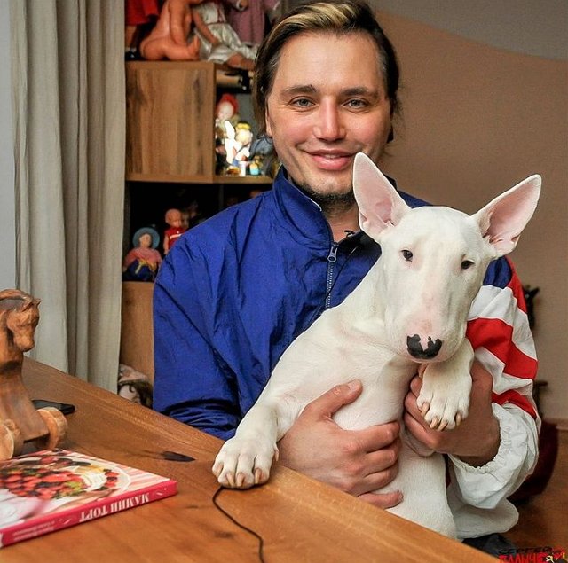 Рустам Солнцев раскритиковал нового «Холостяка» с Тимати Рустам Солнцев раскритиковал нового «Холостяка» с Тимати