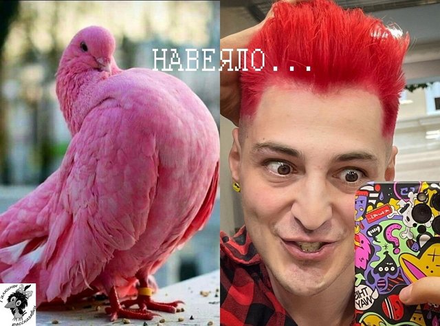 Приколы Дом-2 (26.03.2021) Приколы Дом-2 (26.03.2021)