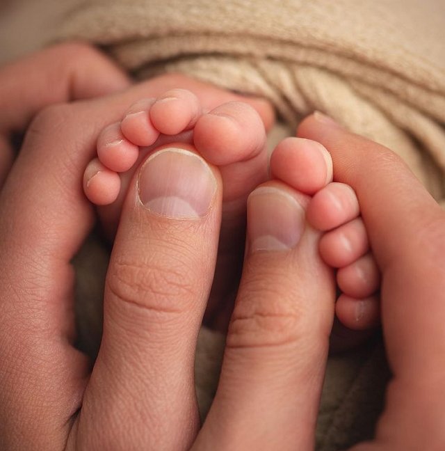 ������ ��������: ����� ���������� ������