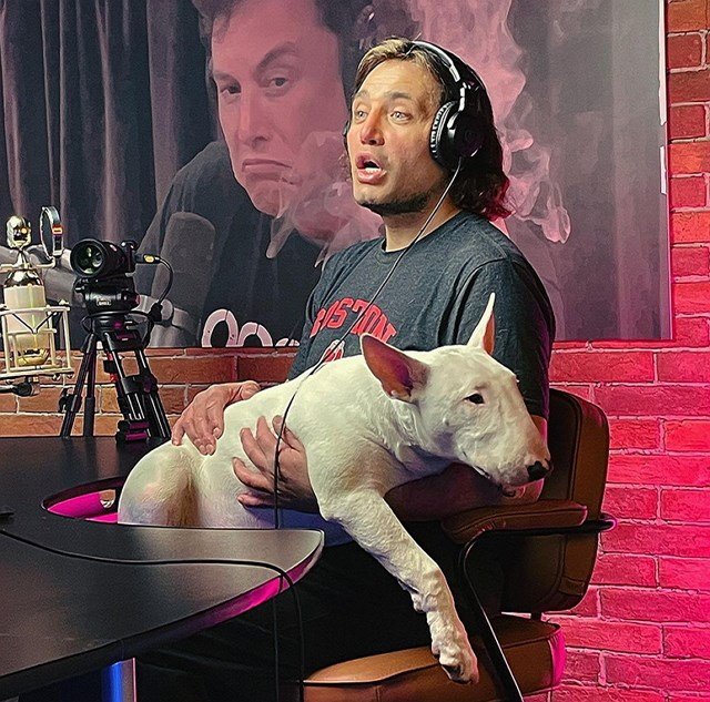 ����� ����� ���: ������ ��������