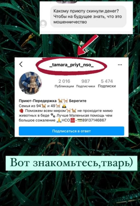 ����� ������: � �������� ������ ������!