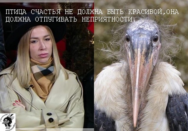 ������� ���-2 (19.05.2021)