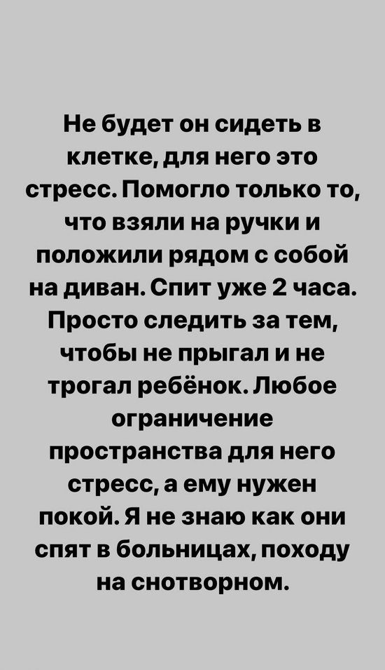 Александра Черно: Для него это стресс! Александра Черно: Для него это стресс!