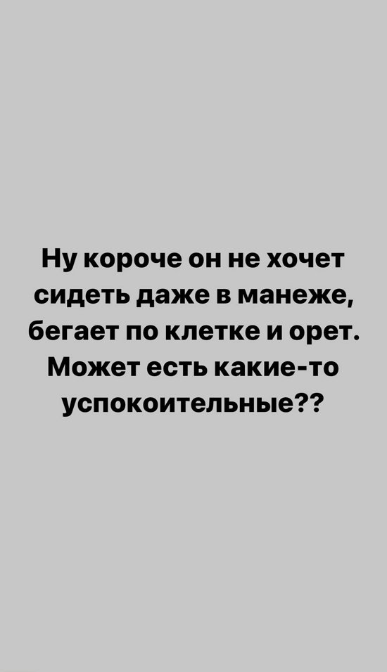 Александра Черно: Для него это стресс! Александра Черно: Для него это стресс!