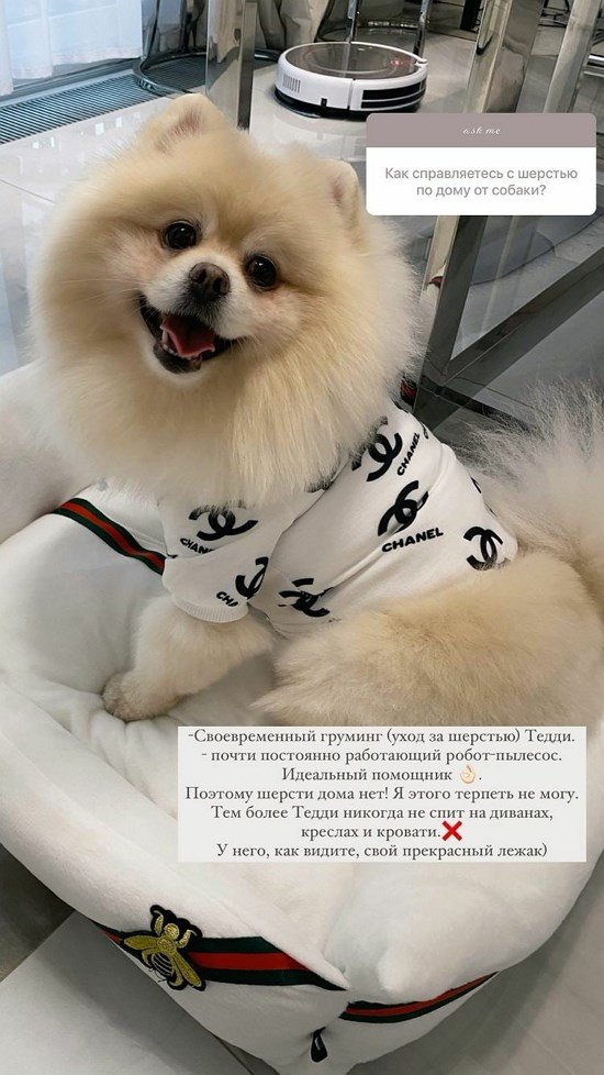 ������� ������������: � �������� ���� �������� ������