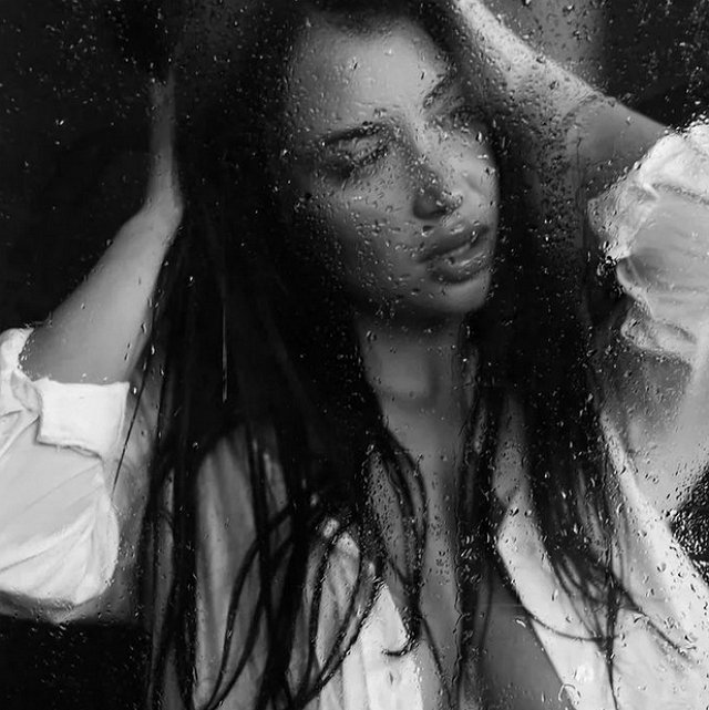 ����� ����� ���: �������� ���������