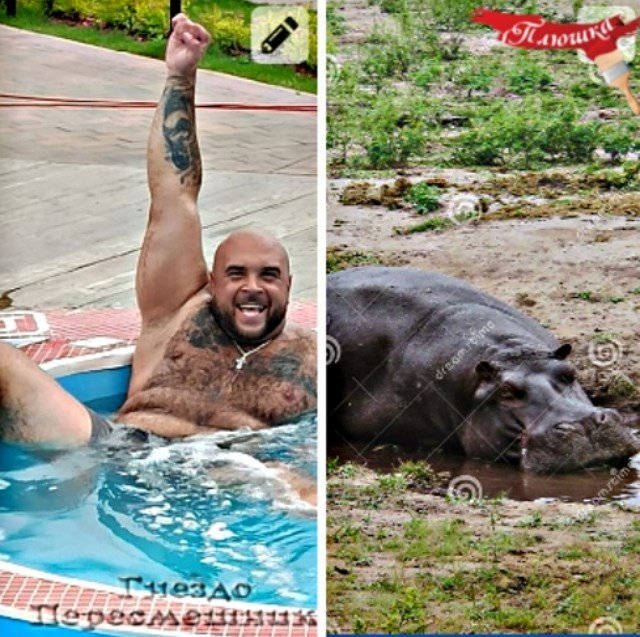 ������� ���-2 (6.07.2021)