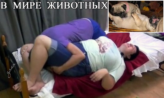 ������� ���-2 (6.07.2021)