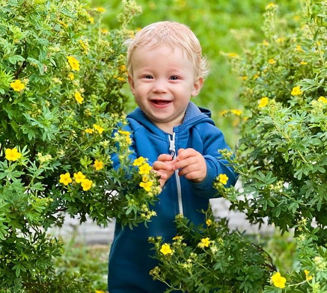 ������ ��������: ������, ��������� ������