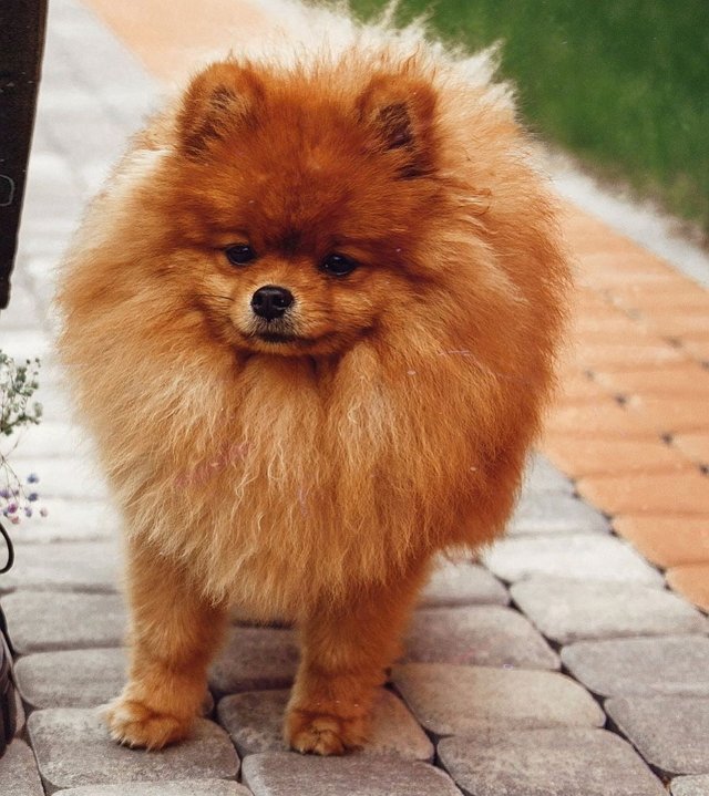 ������� ��������: ����� �������!