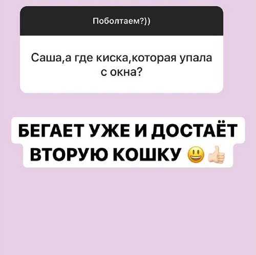 ���������� �����: � ������ ������ ������� �� ������