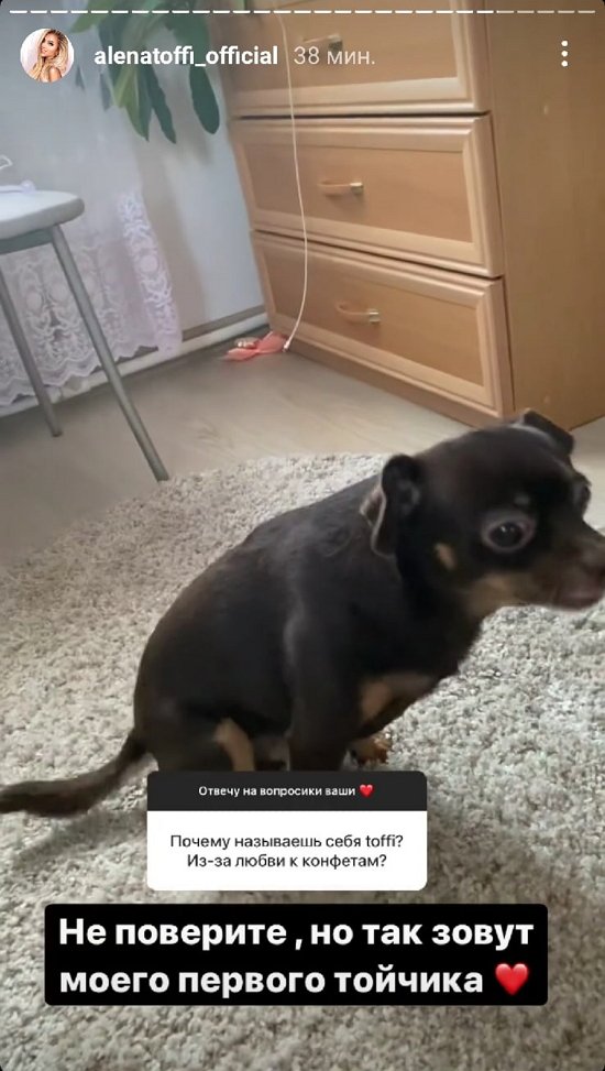 ����� �������: ��� ����� ������!