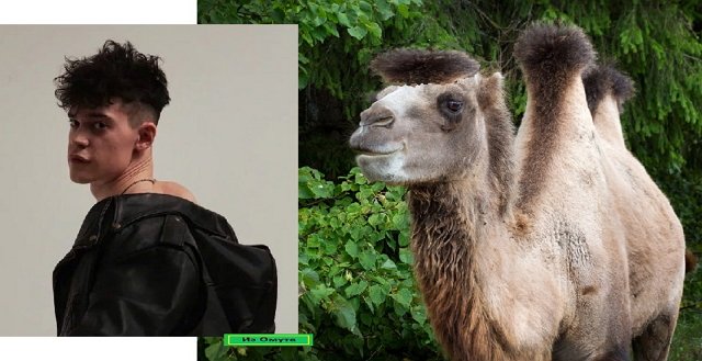 ������� ���-2 (21.08.2021)